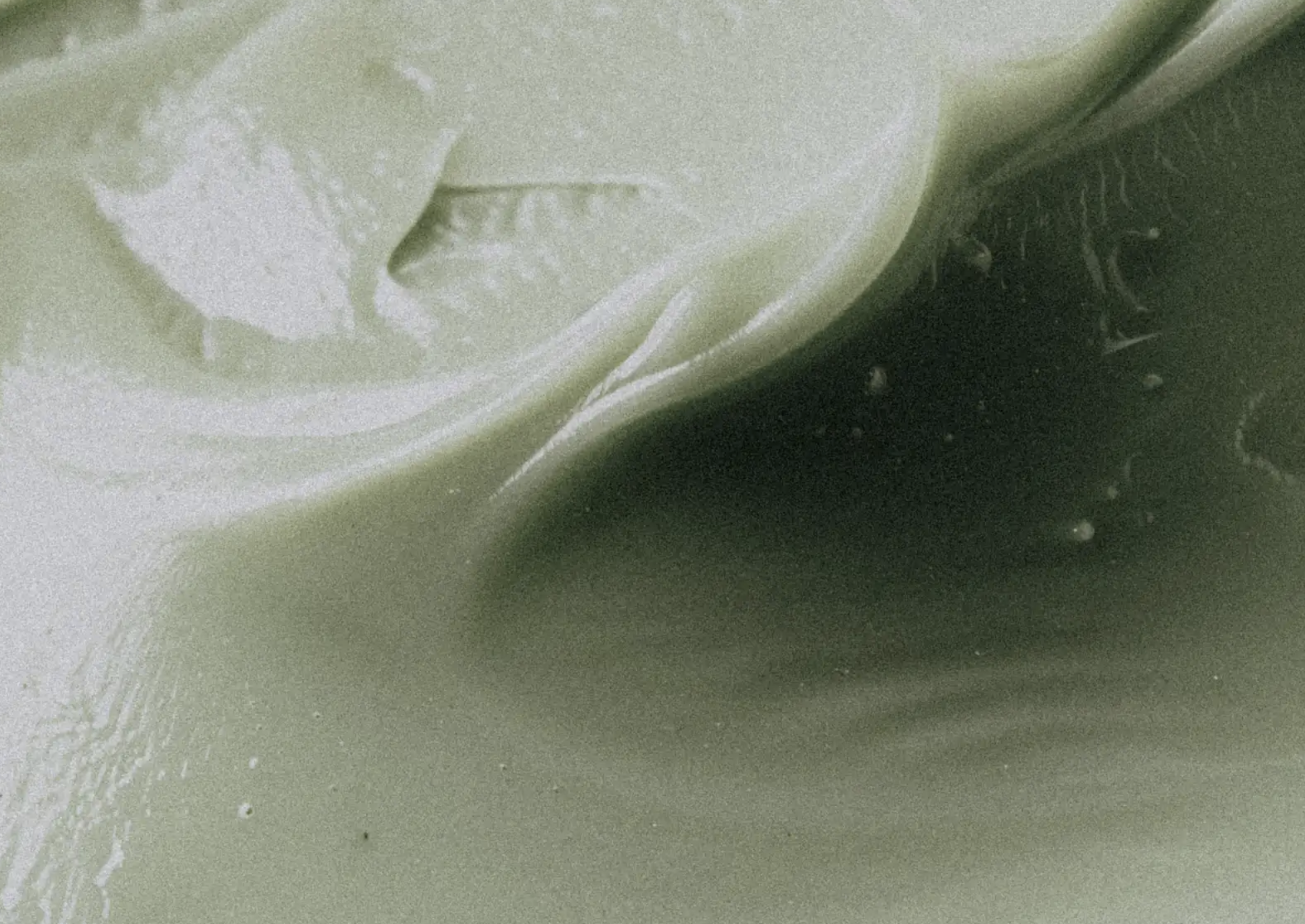 May Memberships at Sway Wellness Spa